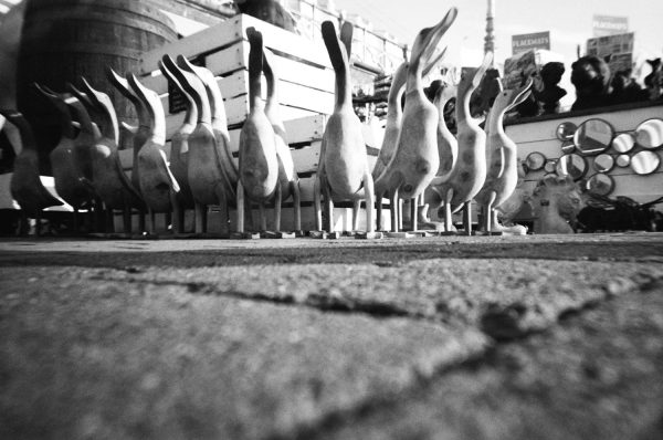 成功攝影 全新 Lomography Simple Use Camera 400 Black & White 現貨 黑白底片 即可拍底片機：圖片 4
