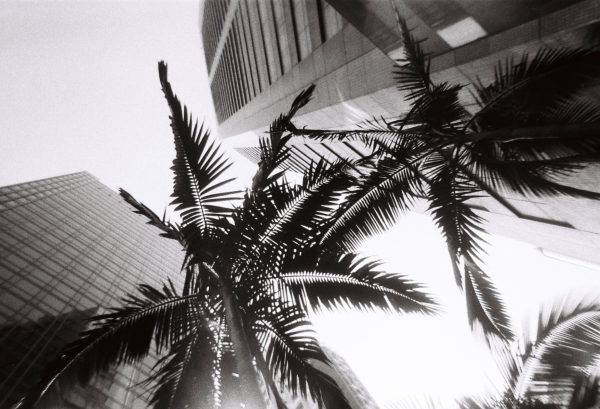 成功攝影 全新 Lomography Simple Use Camera 400 Black & White 現貨 黑白底片 即可拍底片機：圖片 8