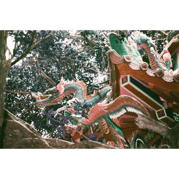 成功攝影 全新 Lomography Simple Use Camera 400/36 Color Negative 紫色調 負片 即可拍 可重新上片：圖片 4