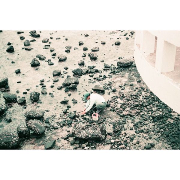 成功攝影 全新 Lomography Simple Use Camera 400/36 Color Negative 紫色調 負片 即可拍 可重新上片：圖片 7